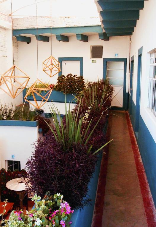 Blue Bicycle House Hostel Queretaro Luaran gambar